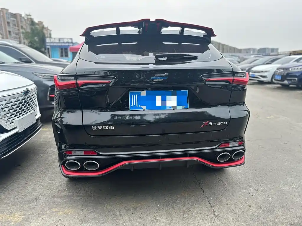 Oshan Oushang X5 — миниатюра 11