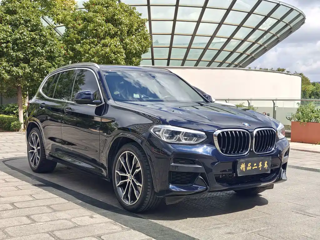 BMW X3 — миниатюра 3