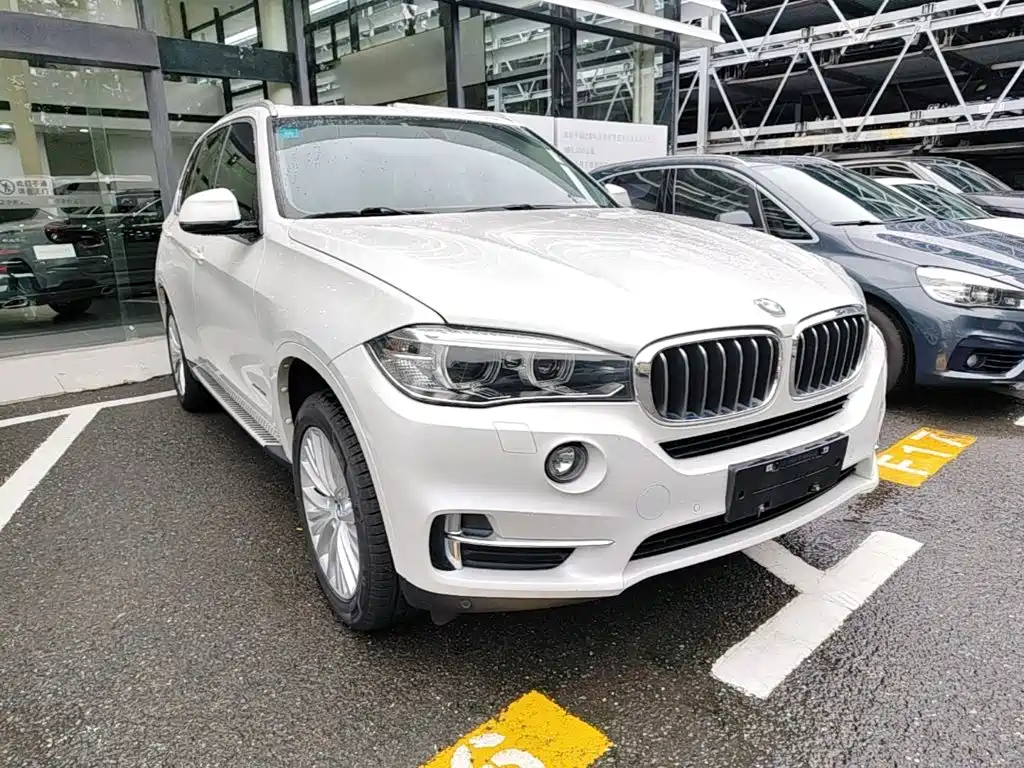 BMW X5 (Import) — миниатюра 4