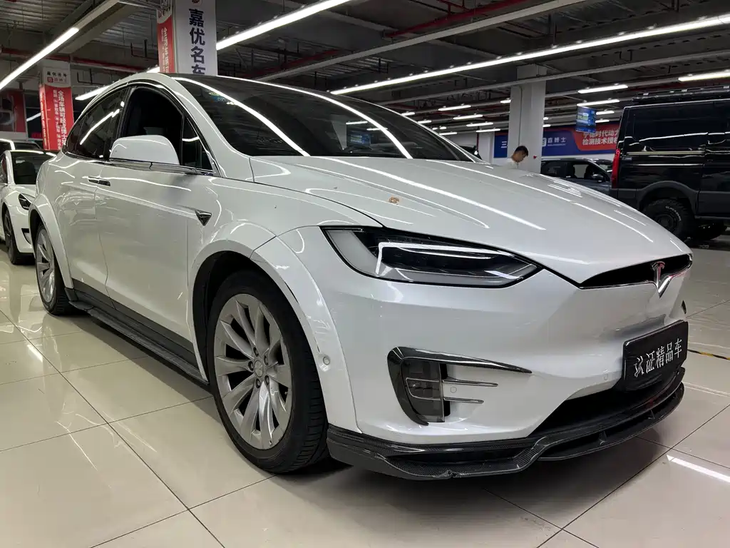 Tesla Model X — миниатюра 3