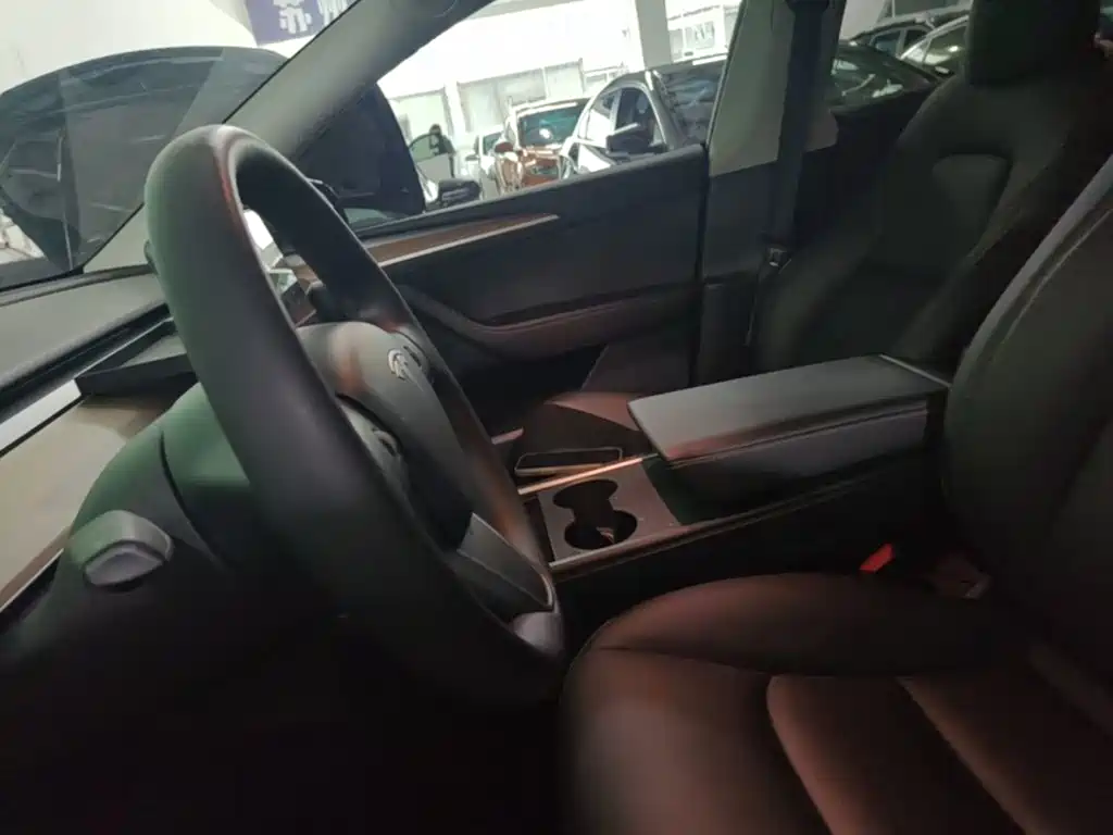 Tesla Model Y — миниатюра 15