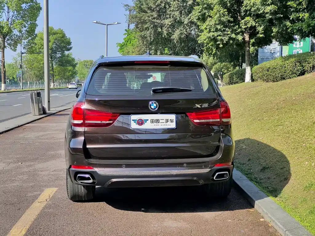BMW X5 (Import) — миниатюра 5