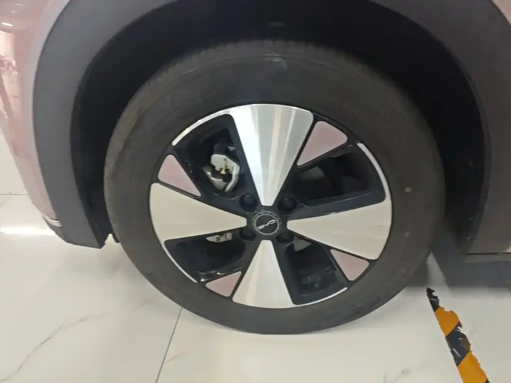 BYD Dolphin — миниатюра 23