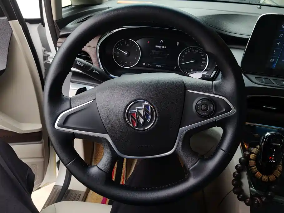 Buick GL8 — миниатюра 15