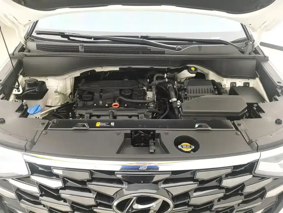 Hyundai Custo — миниатюра 10