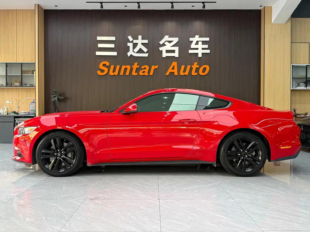 Ford Mustang — миниатюра 22