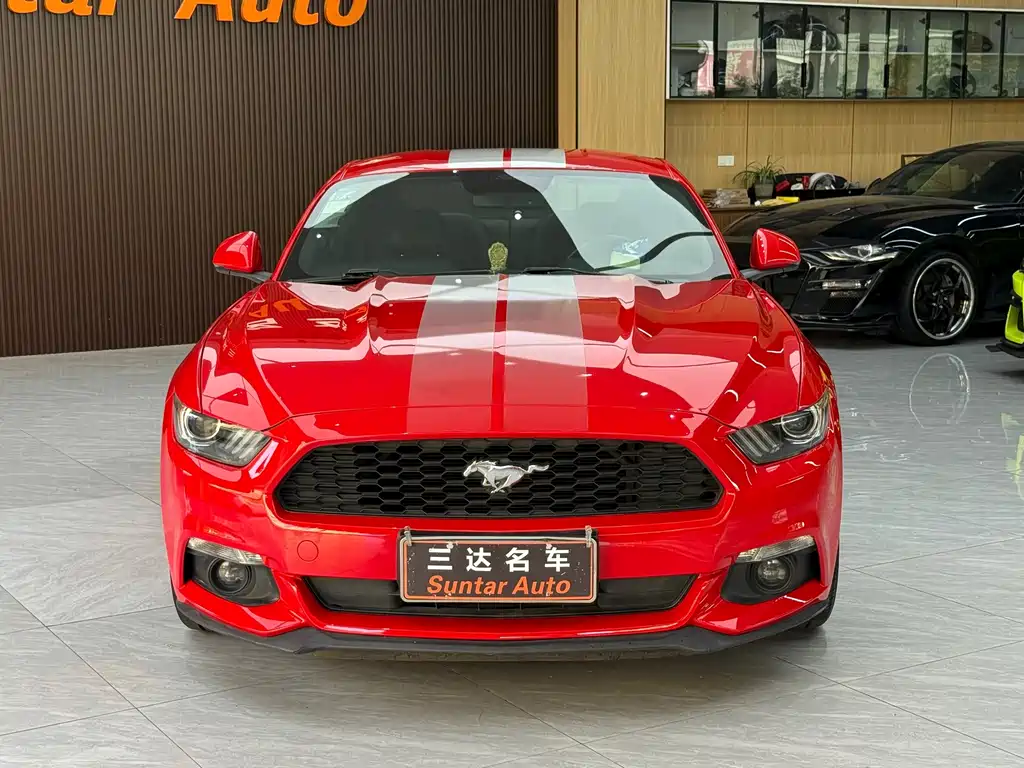 Ford Mustang — миниатюра 2