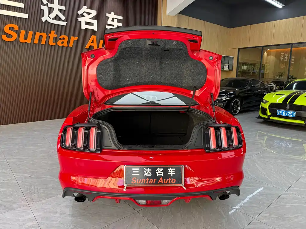 Ford Mustang — миниатюра 18