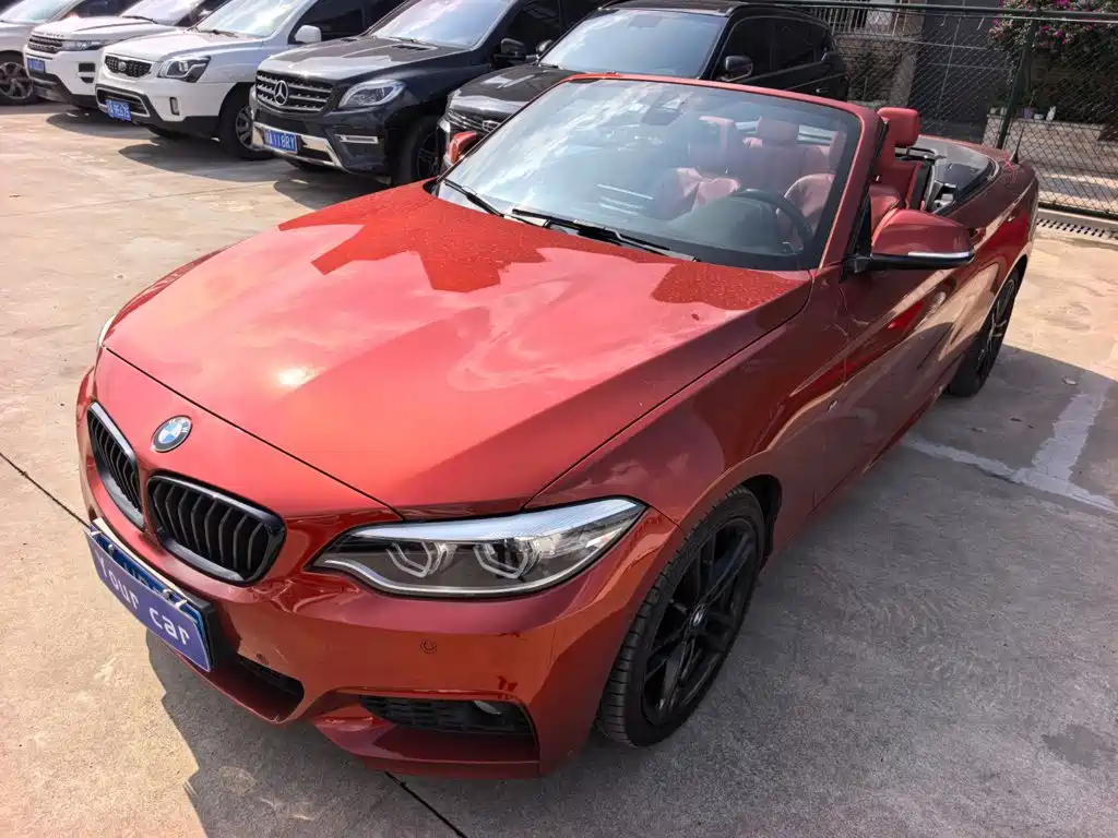 BMW 2 Series (Import) — миниатюра 8