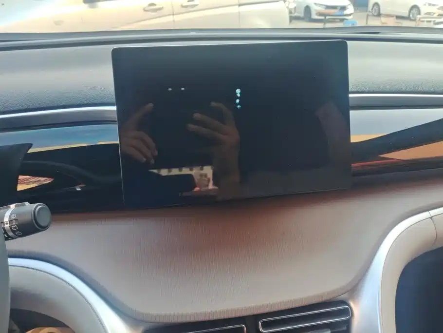 BYD Pro New Energy — миниатюра 13