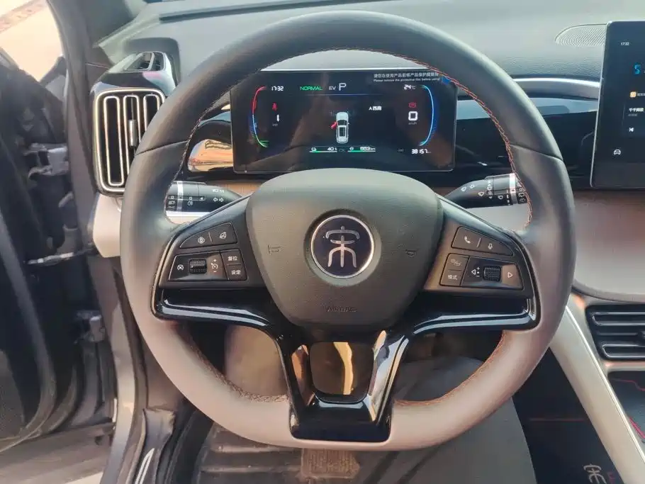 BYD Pro New Energy — миниатюра 15