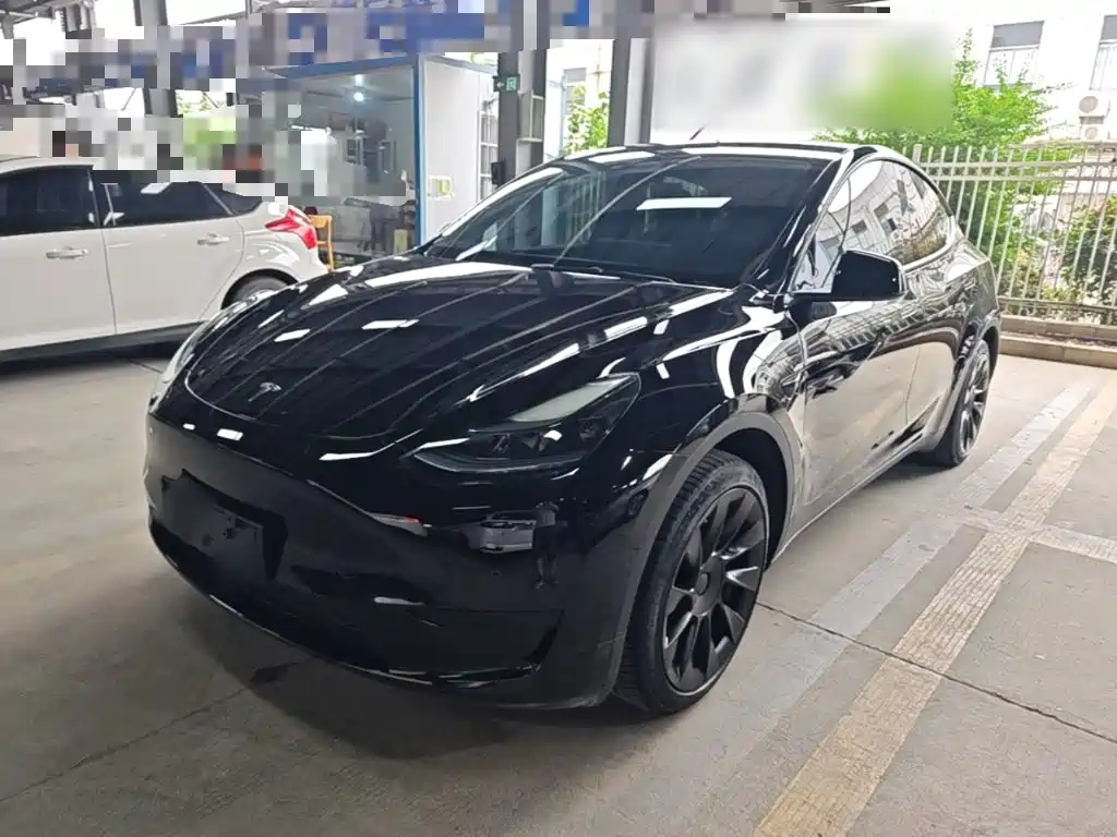 Tesla Model Y — миниатюра 2