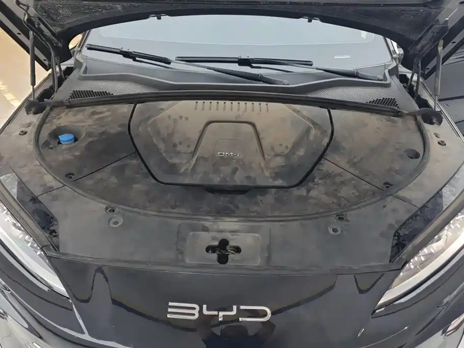 BYD PLUS New Energy — миниатюра 10