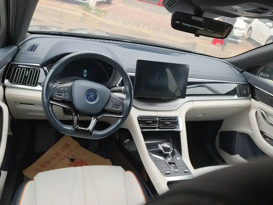 BYD PLUS New Energy — миниатюра 12