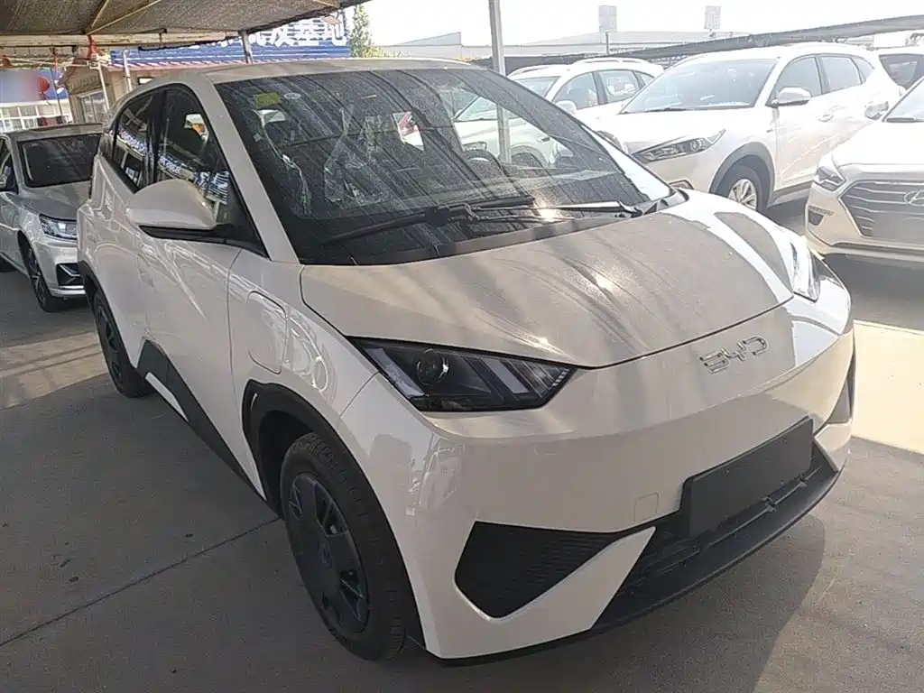 BYD Seagull 2025 305km