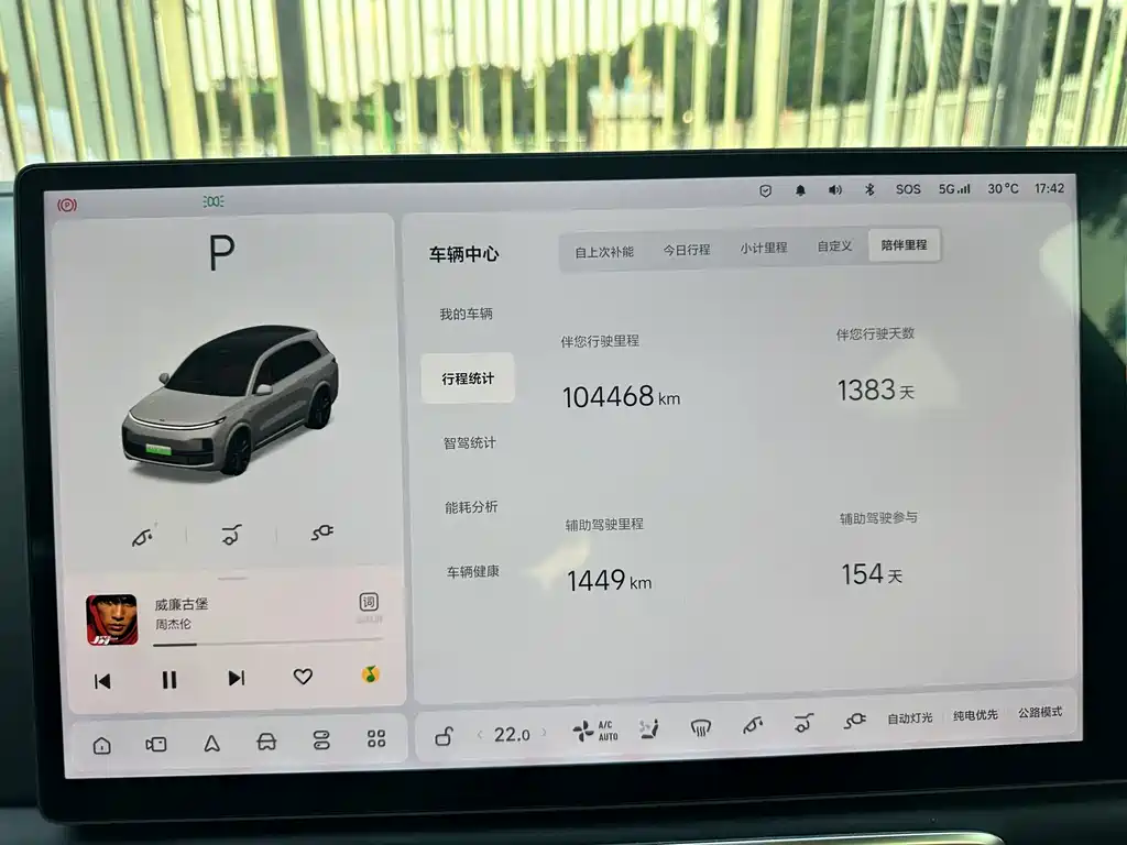 Li Auto Li L8 — миниатюра 18