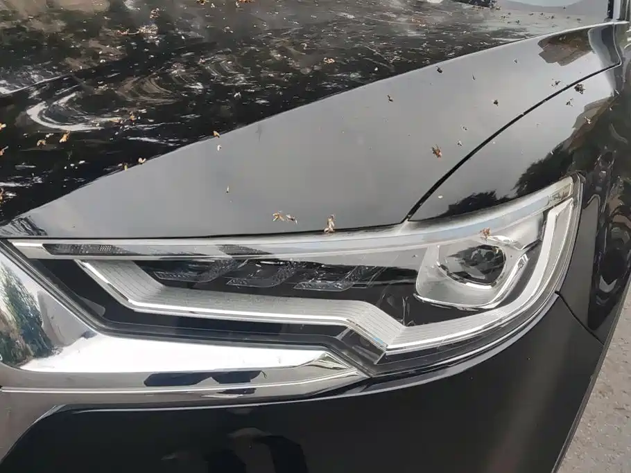 Hongqi Hongqi HS5 — миниатюра 5