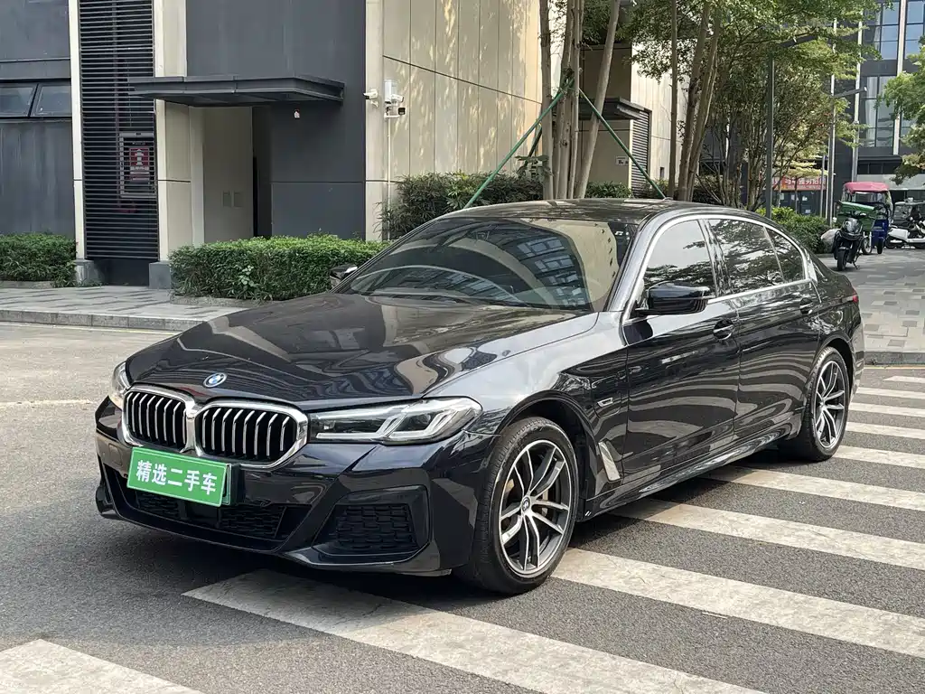 BMW 5 Series New Energy 2022