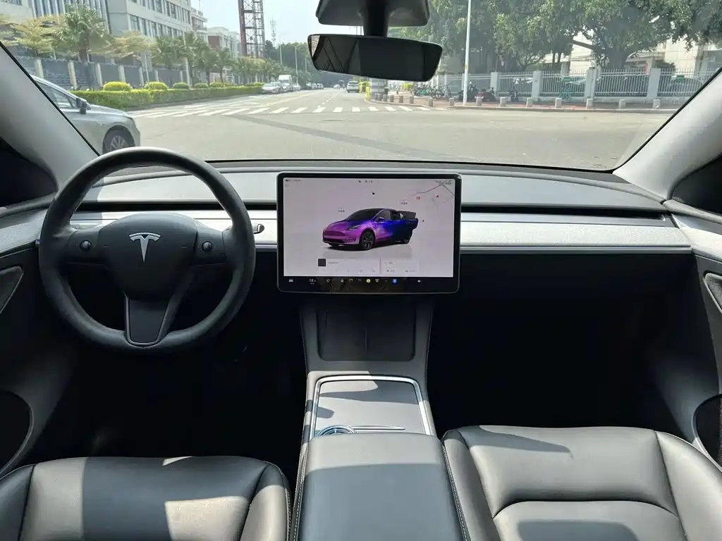 Tesla Model Y — миниатюра 10