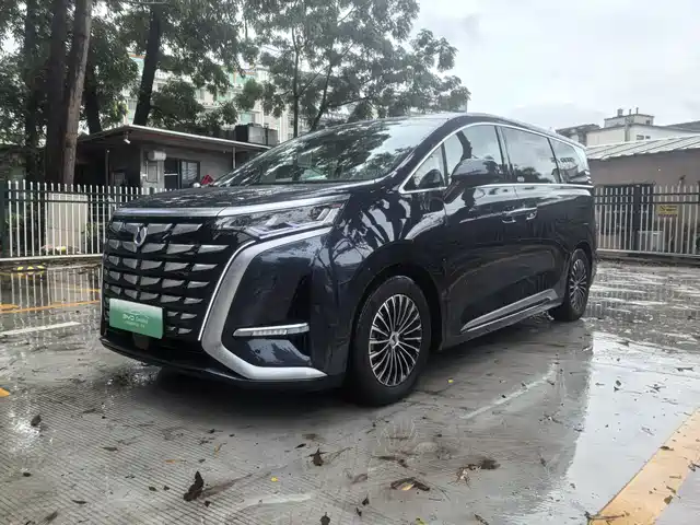 2023 Denza D9