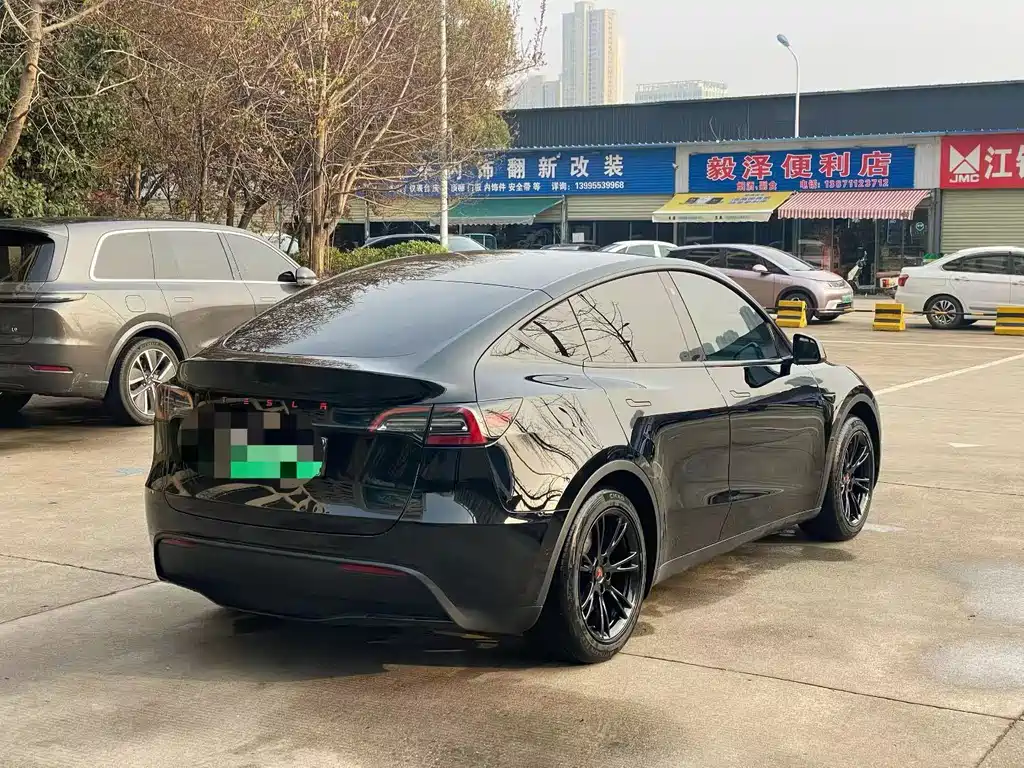 Tesla Model Y — миниатюра 9