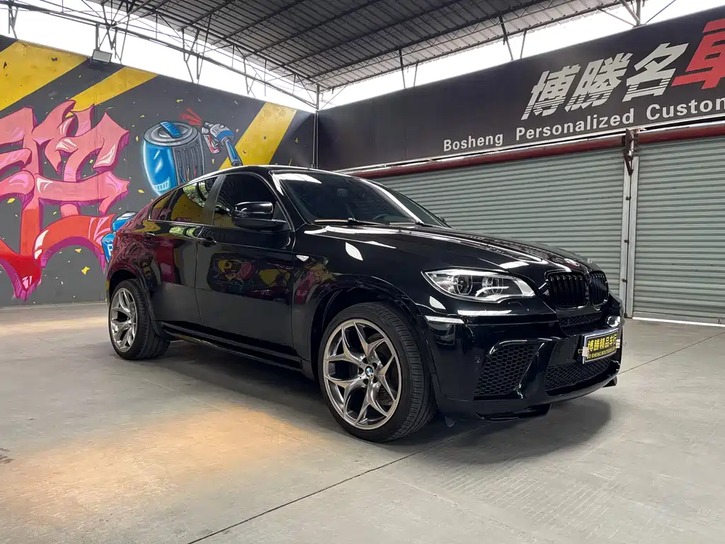 BMW X6 2009 xDrive35i