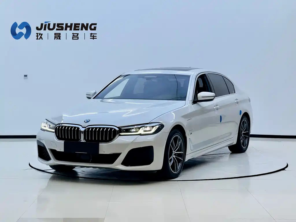 BMW 5 Series New Energy 2021