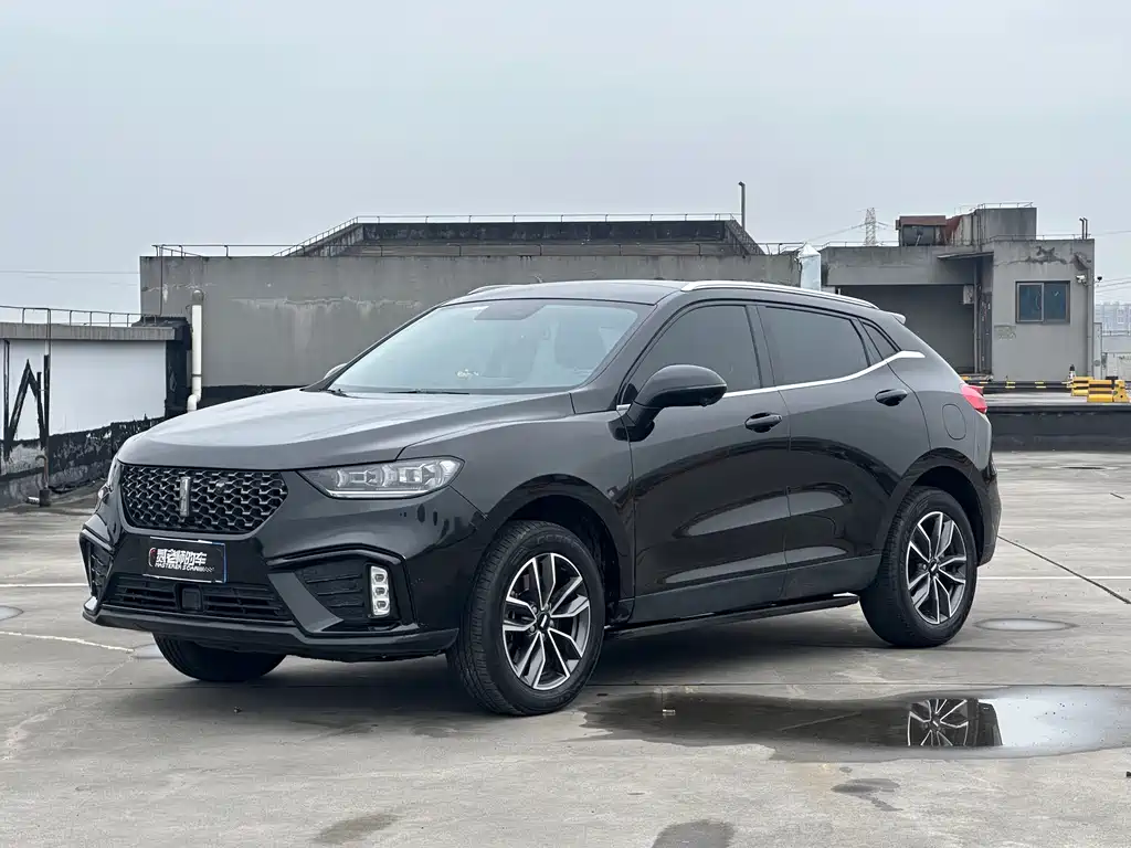 Wey Wey VV5 2020