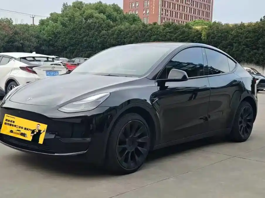 Tesla Model Y — миниатюра 3