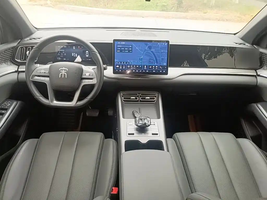 BYD Pro New Energy — миниатюра 10