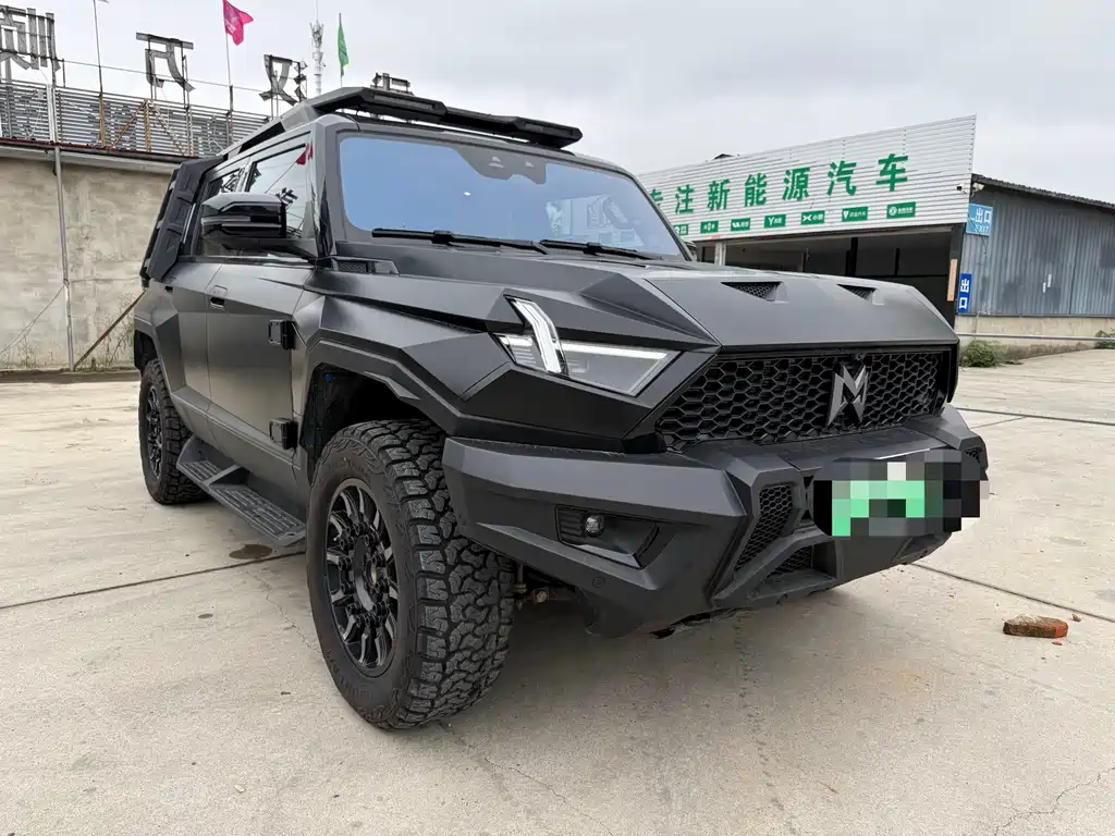 Mengshi Mengshi 917 — миниатюра 3