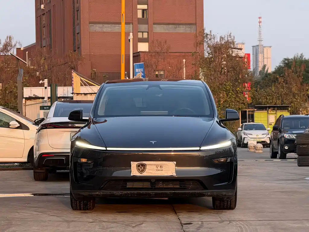 Tesla Model Y — миниатюра 2
