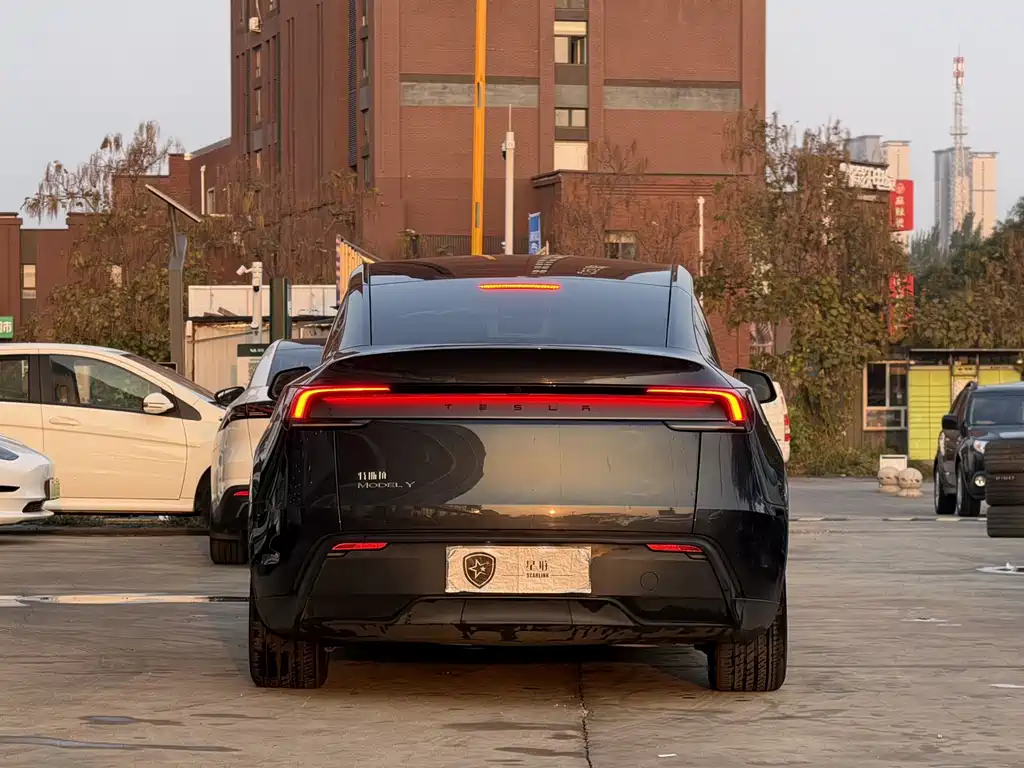 Tesla Model Y — миниатюра 6