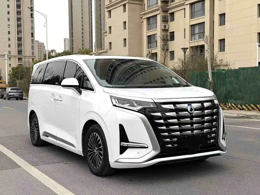 Denza Denza D9 — миниатюра 2