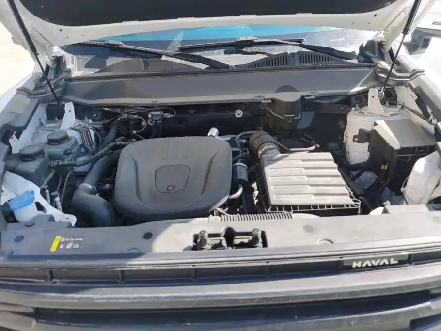 Haval Menglong New Energy — миниатюра 10