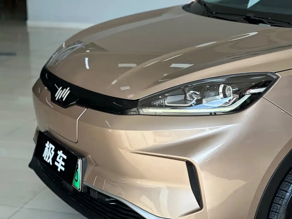 WM Motor EX5 — миниатюра 3