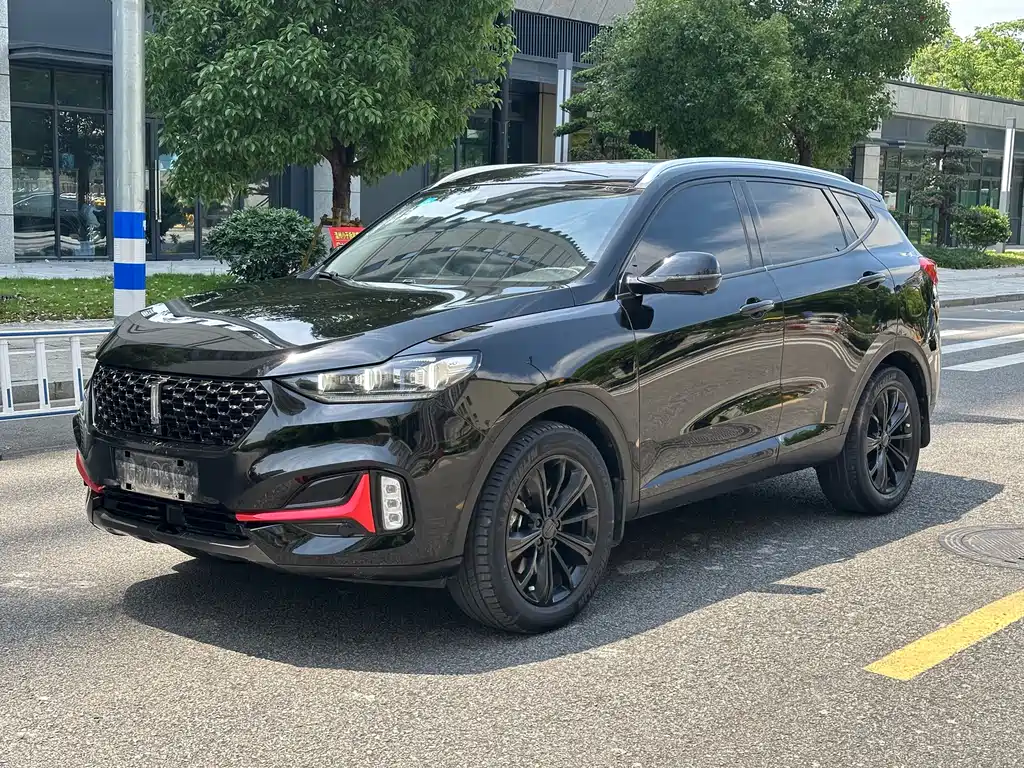 Wey Wey VV6 2021