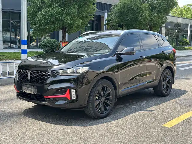 2021 Wey VV6