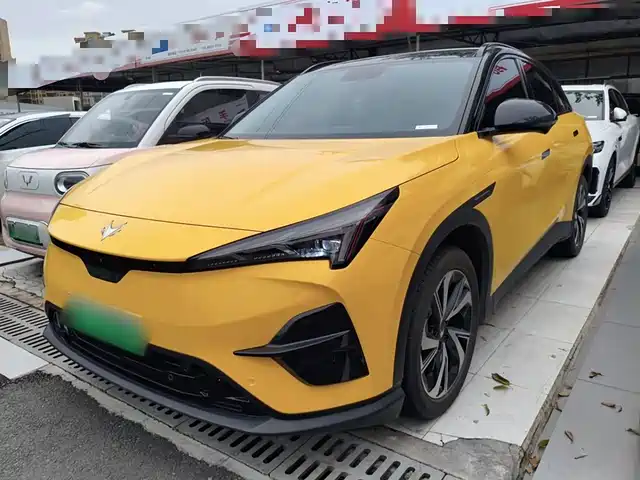 ARCFOX EXTREME FOX POLAR FOX ALPHA T5 2024