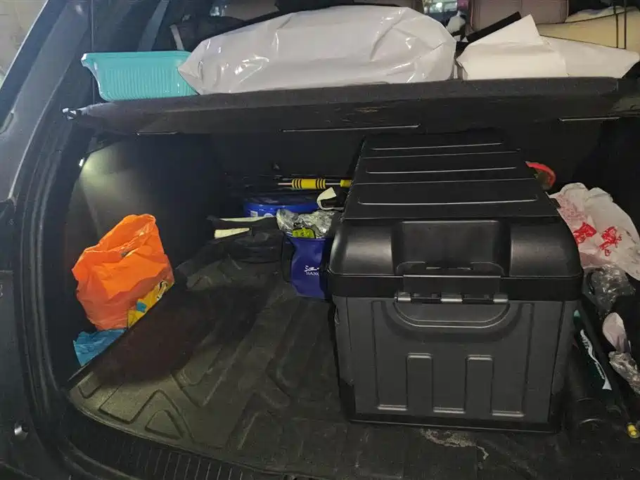 BYD SONGJIANG NEW ENERGY