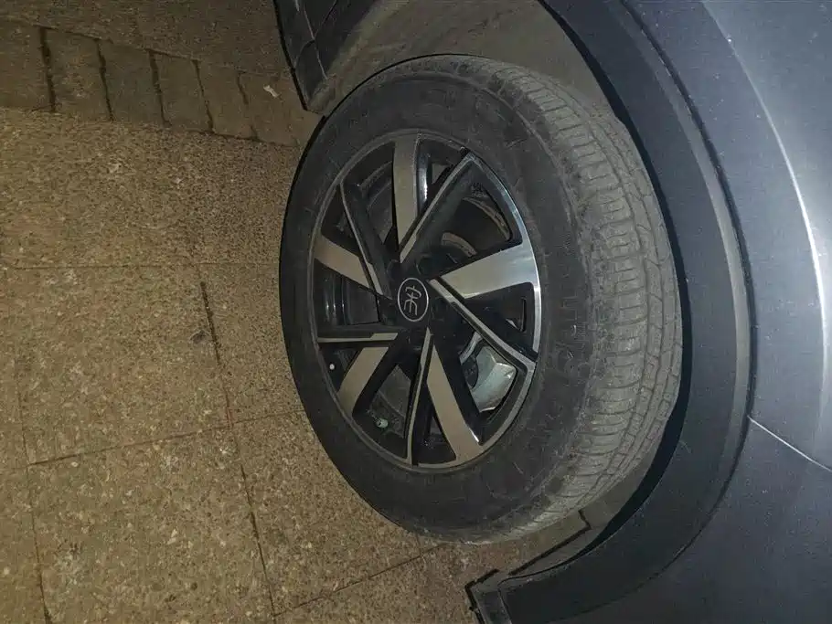 BYD SONGJIANG NEW ENERGY