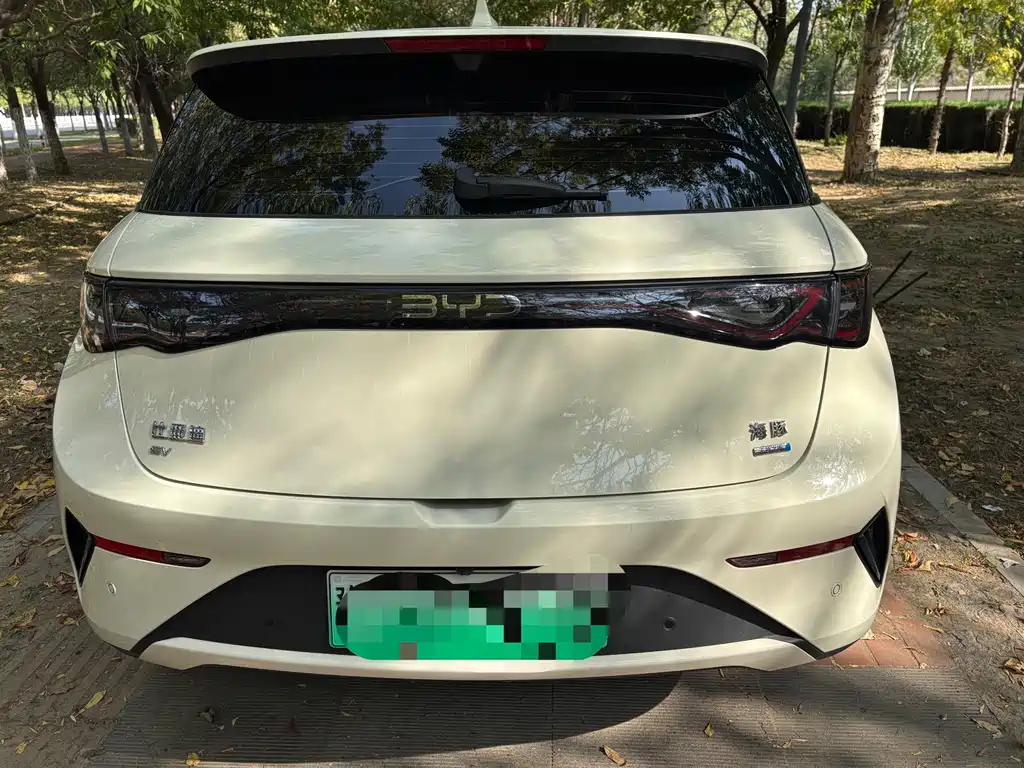 BYD Dolphin — миниатюра 17