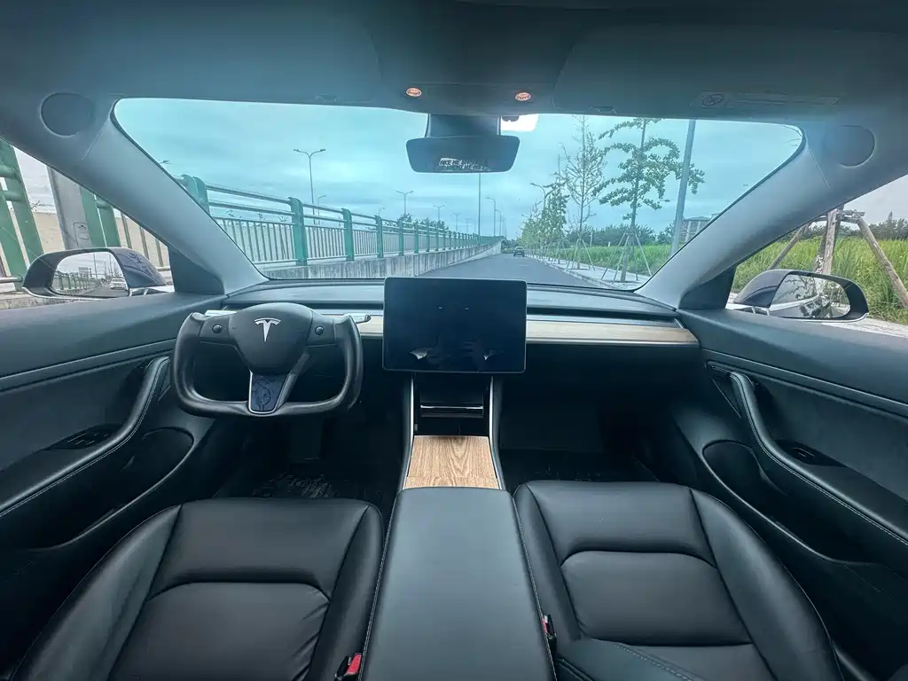 Tesla Model 3 — миниатюра 11