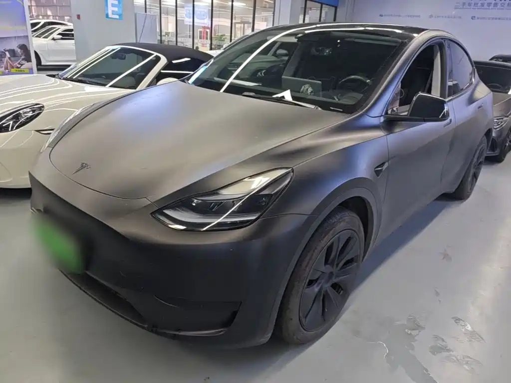 Tesla Model Y — миниатюра 2