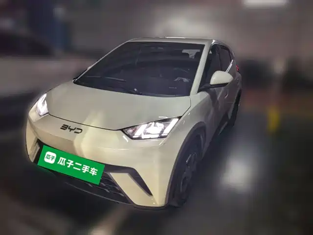 2024 BYD Seagull