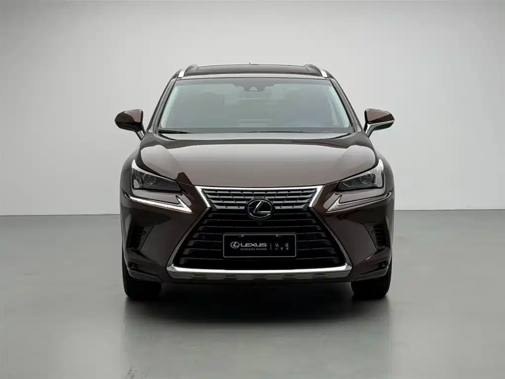 LEXUS  NX