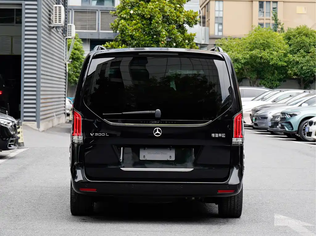 Mercedes-Benz V-Class V 2024 V 300 L Luxury