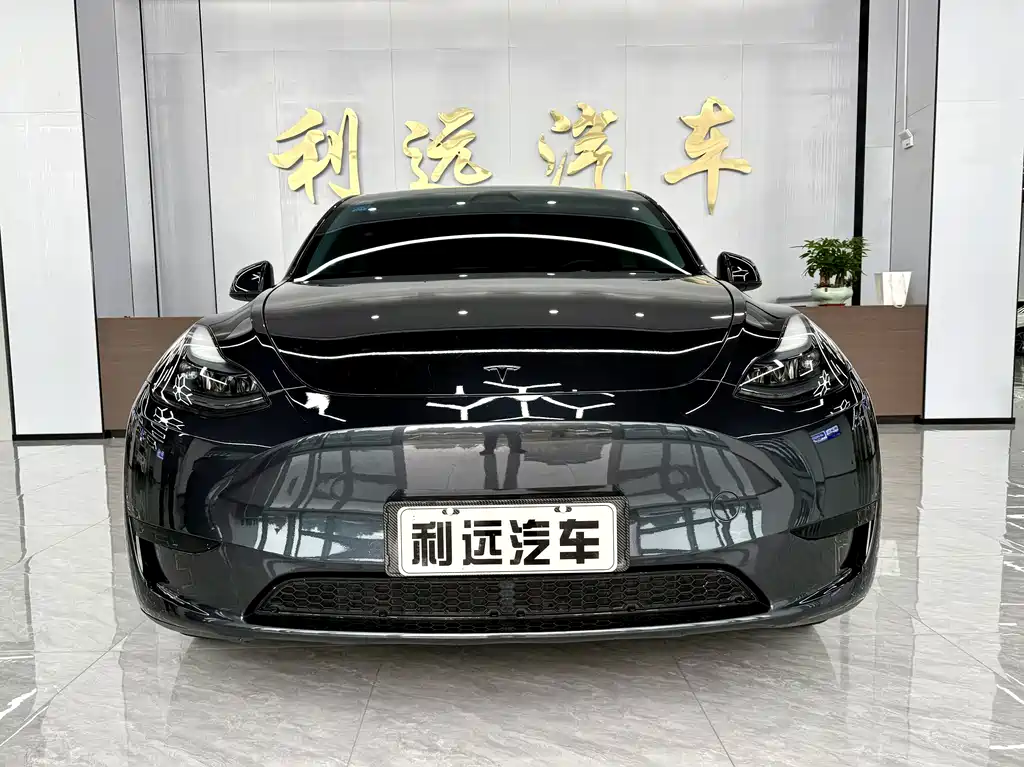 Tesla Model Y — миниатюра 2