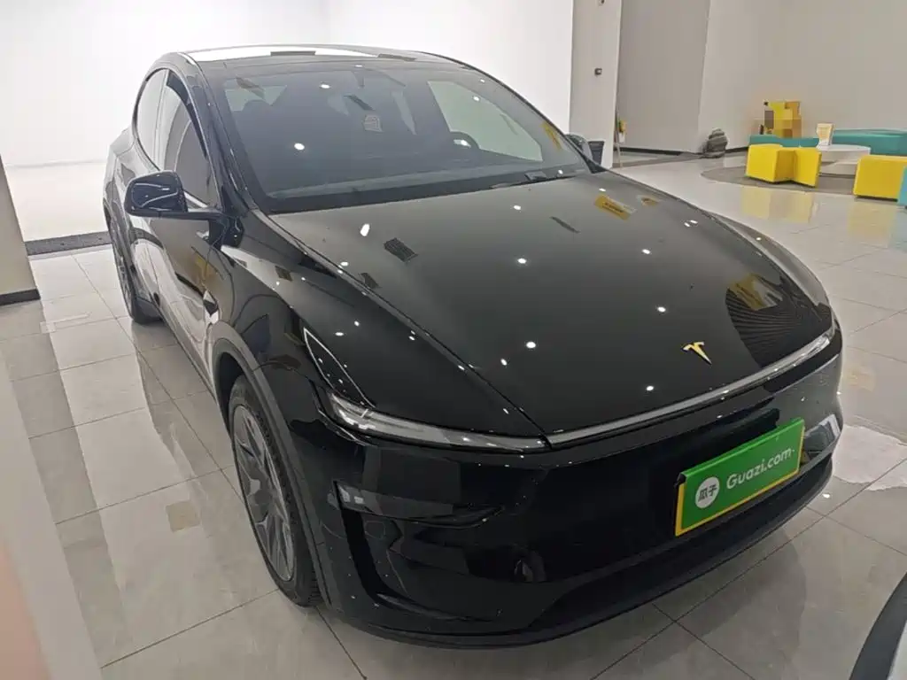 Tesla Model Y L — миниатюра 4