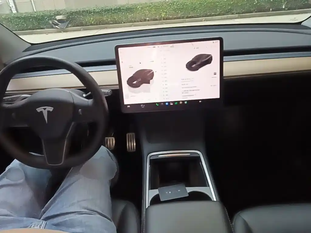 Tesla Model Y — миниатюра 10